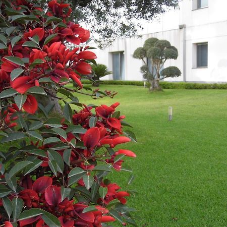 Apartament Fiore Dell'Etna Santa Venerina Zewnętrze zdjęcie