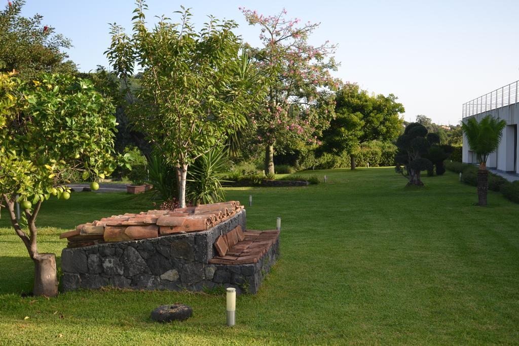 Apartament Fiore Dell'Etna Santa Venerina Zewnętrze zdjęcie