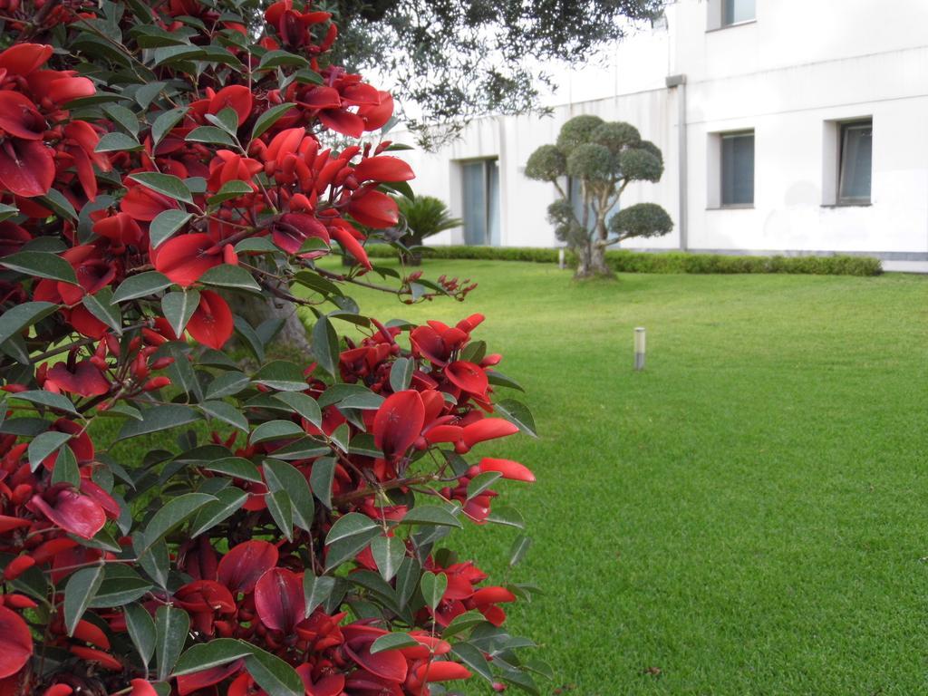 Apartament Fiore Dell'Etna Santa Venerina Zewnętrze zdjęcie