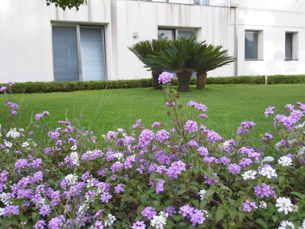 Apartament Fiore Dell'Etna Santa Venerina Zewnętrze zdjęcie